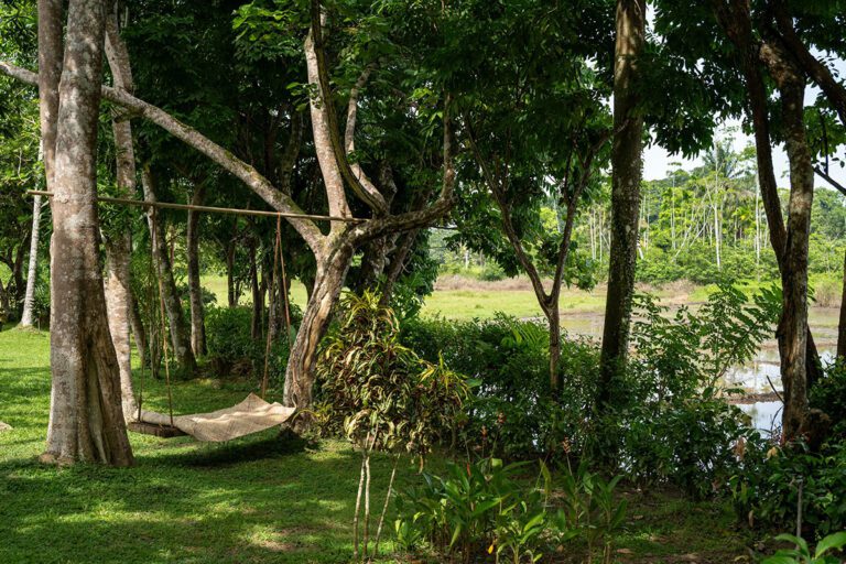 7 Boundary House hammock view 2025